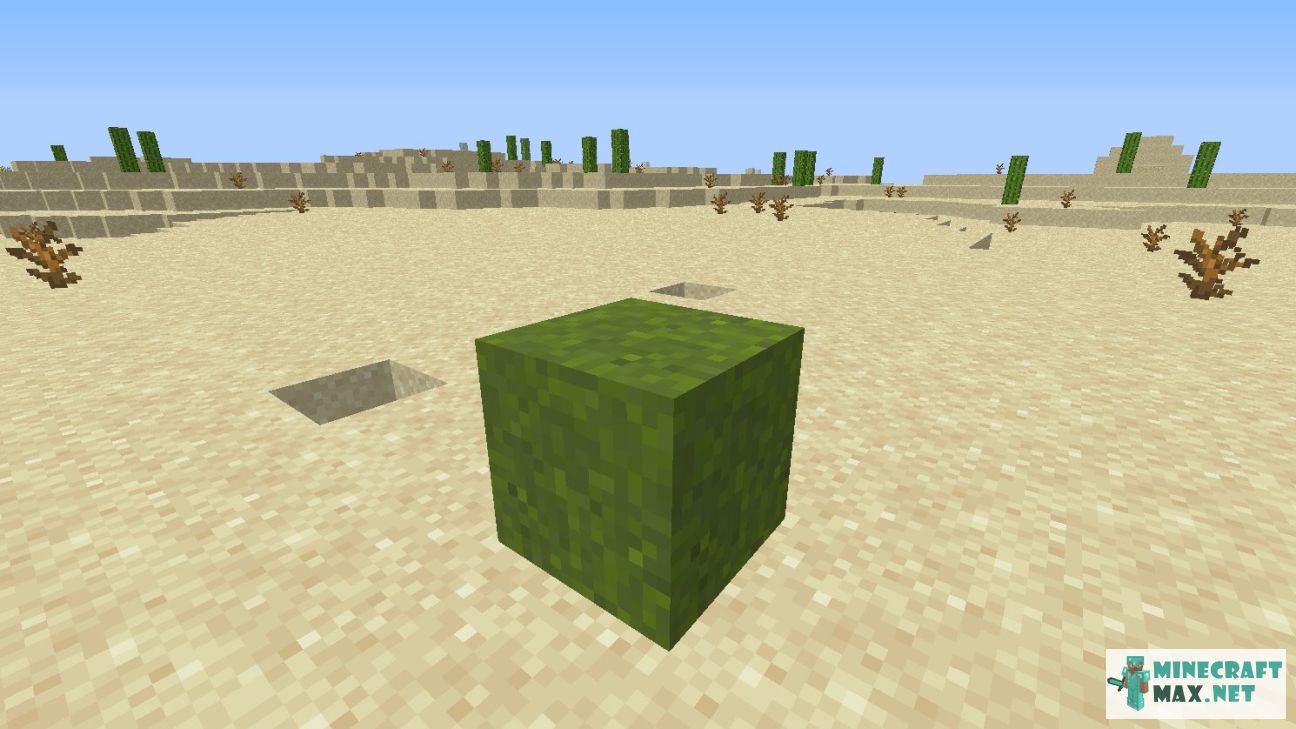 Modem in Minecraft | Screenshot 2702