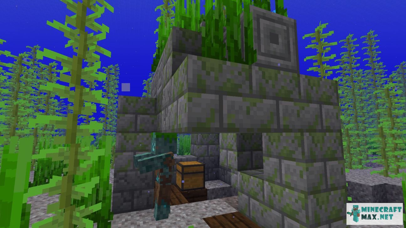 Modem in Minecraft | Screenshot 3063