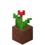 Красный тюльпан в горшке в Майнкрафт