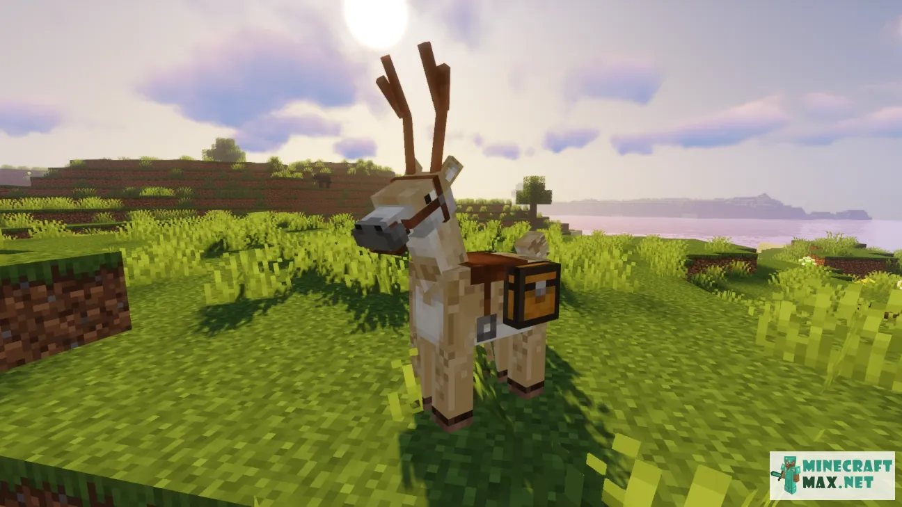 Donkey to Deer | Download texture for Minecraft: 1