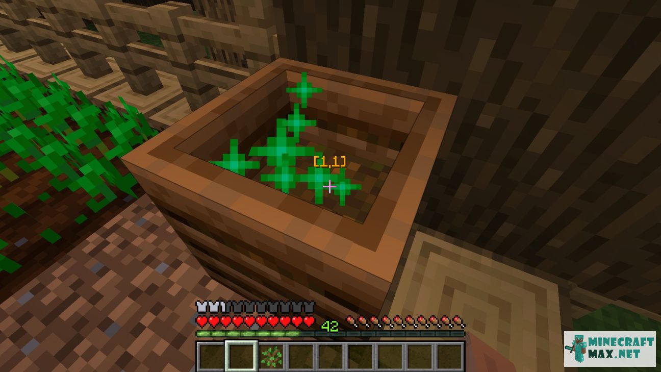 Modem in Minecraft | Screenshot 1919