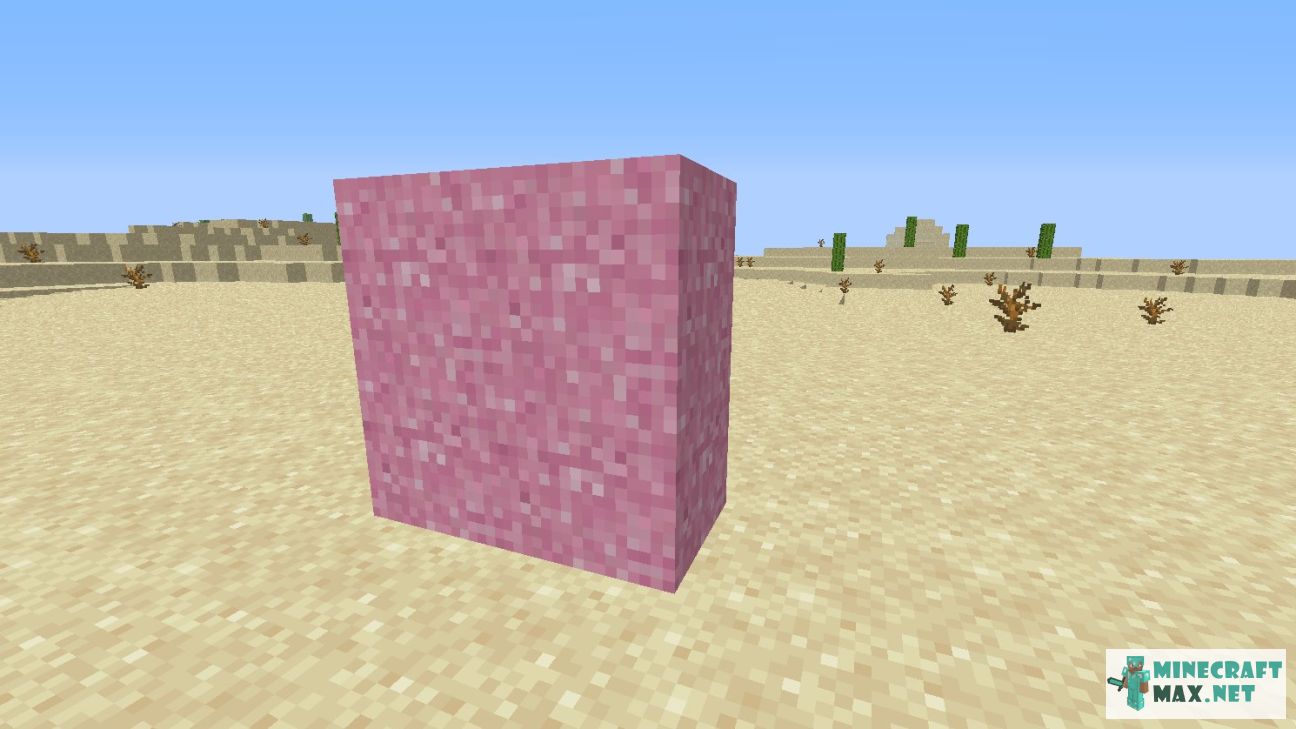 Black gem in Minecraft | Screenshot 2728