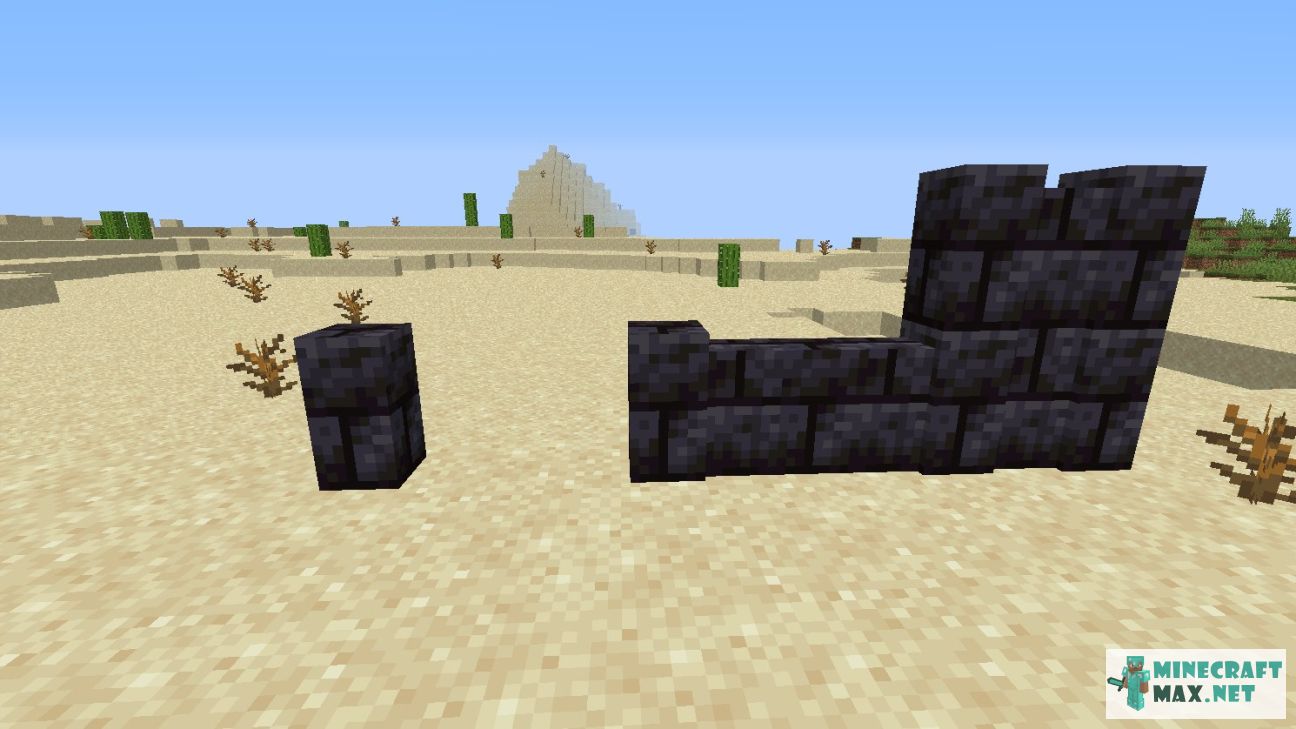 Black gem in Minecraft | Screenshot 2862