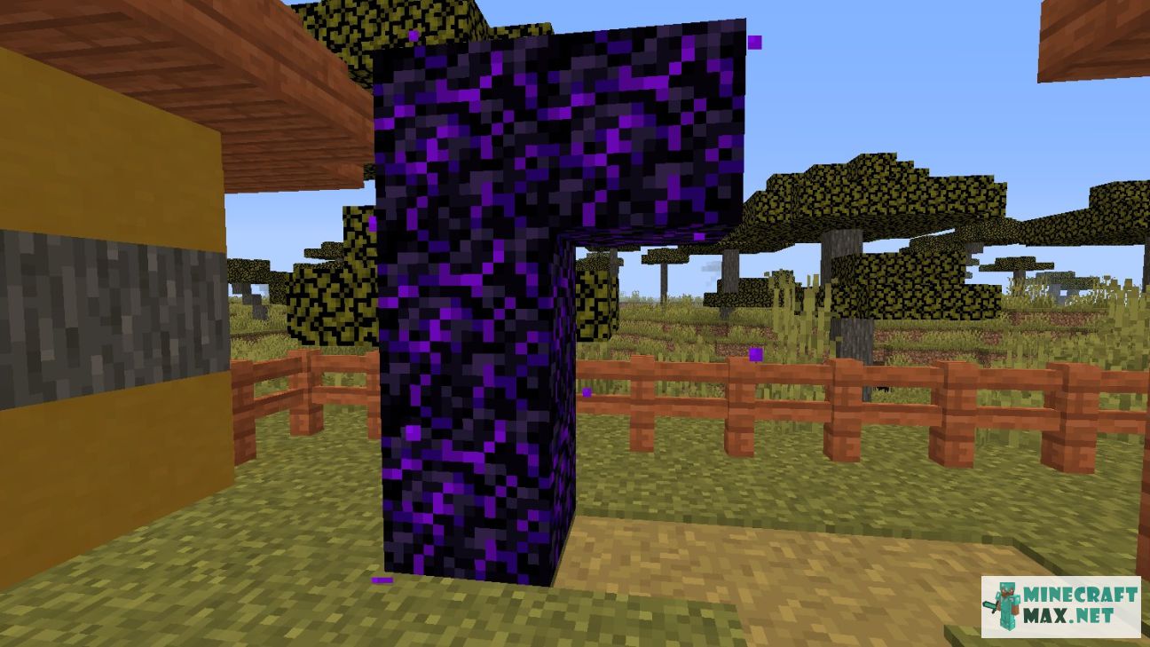 Black gem in Minecraft | Screenshot 2642