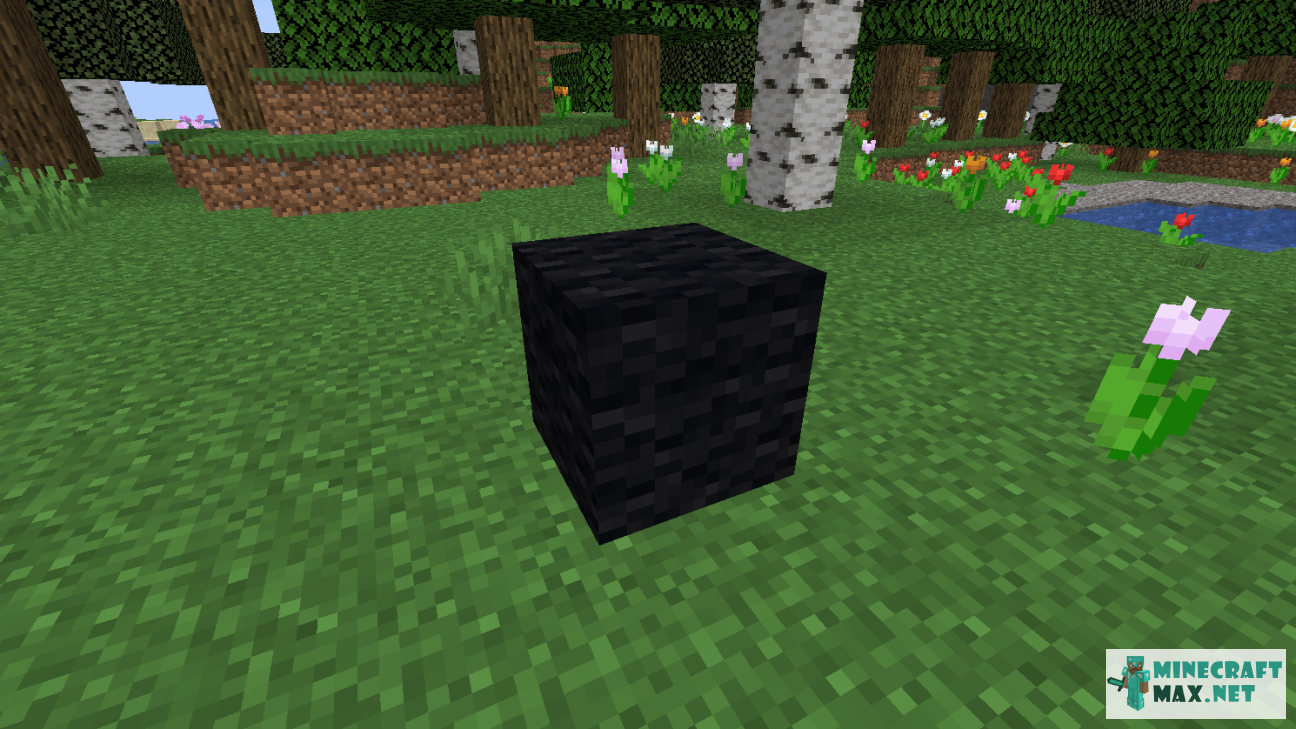 Black gem in Minecraft | Screenshot 1193