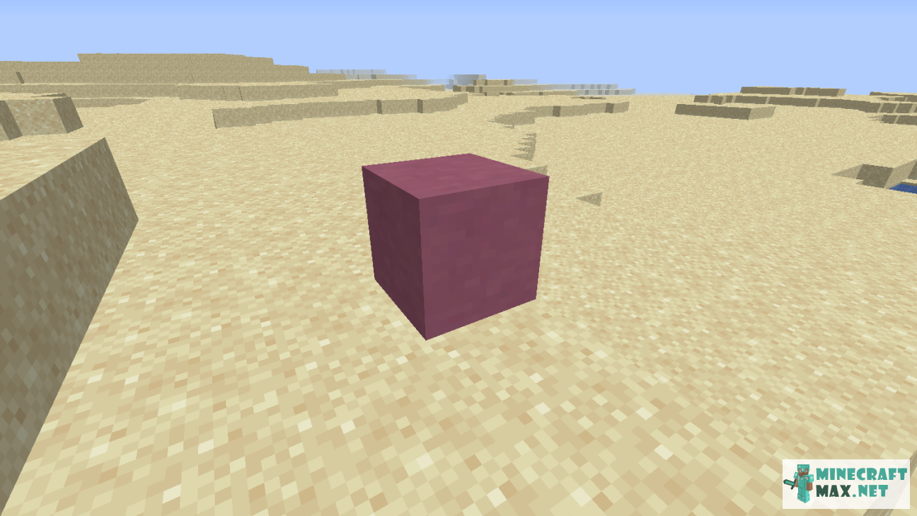 Black gem in Minecraft | Screenshot 1087