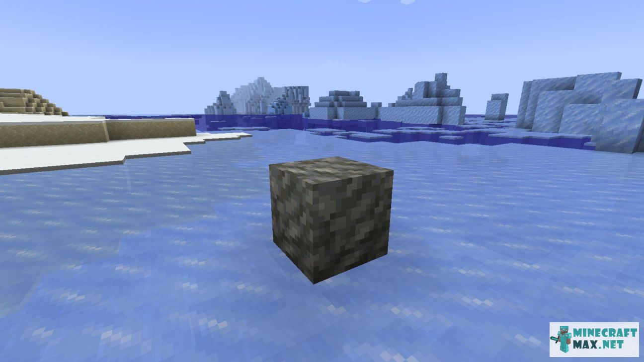 Black gem in Minecraft | Screenshot 3333