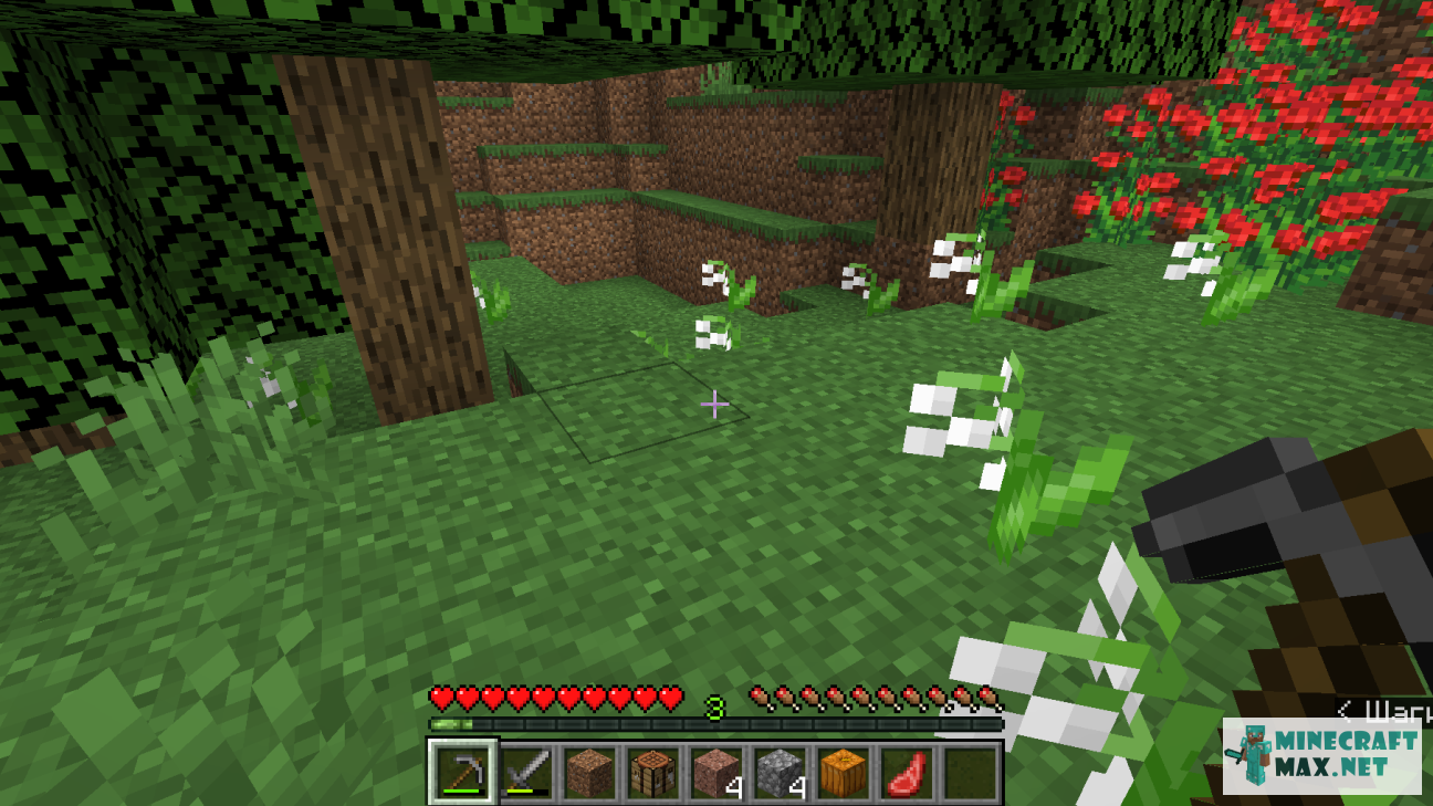 Veiciet uzdevumu Найти цветок ландыша programmā Minecraft | Screenshot 6