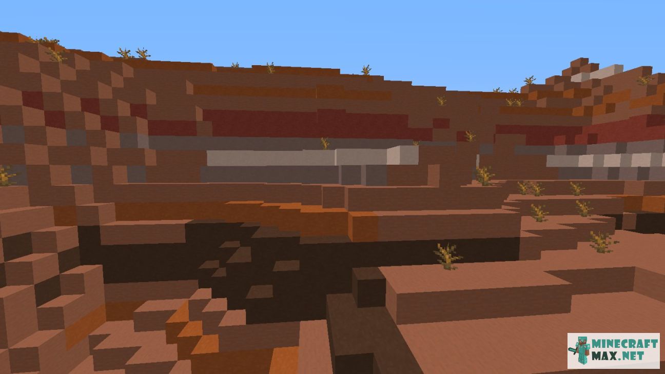 Black gem in Minecraft | Screenshot 1059