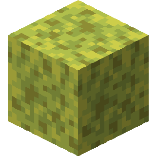 Wet Sponge in Minecraft