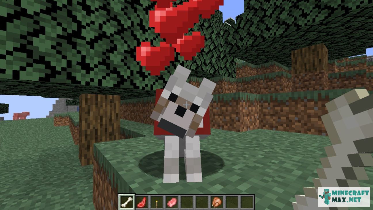 Tamed wolf in Minecraft | Screenshot 1