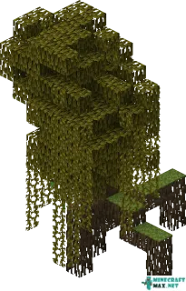 Mangrove Wood in Minecraft