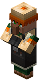 Mason in Minecraft