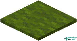 Green Carpet in Minecraft