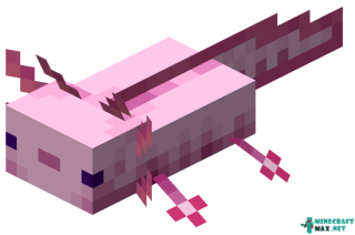 Baby Axolotl in Minecraft