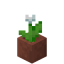 Белый тюльпан в горшке в Майнкрафт