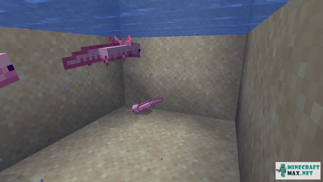 Baby Axolotl in Minecraft | Screenshot 2