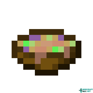 Suspicious Stew (Leaping) in Minecraft