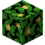Jungle Leaves in Minecraft