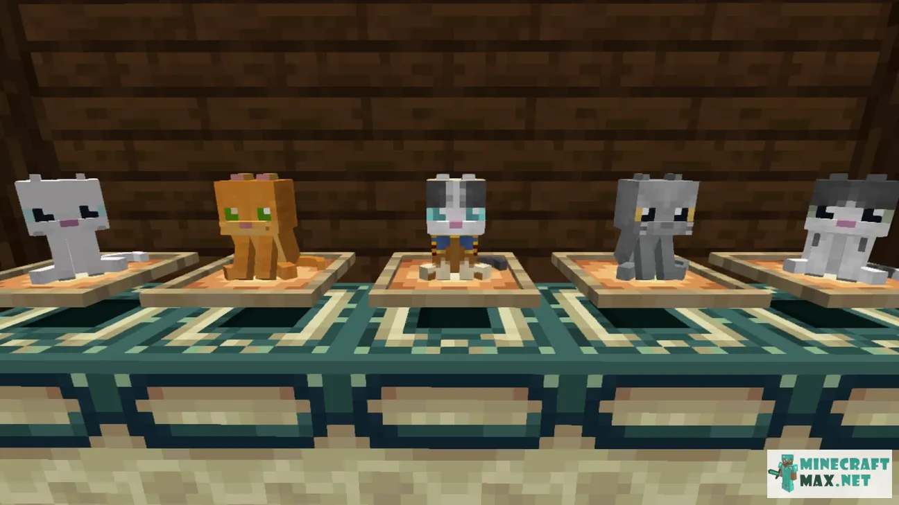 FunnyCat | Download texture for Minecraft: 1