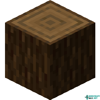 Spruce Log in Minecraft