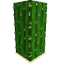 Кактус (растение) в Майнкрафт
