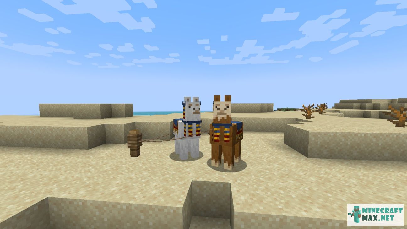 Trader Llama in Minecraft | Screenshot 1